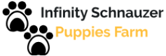 Infinity Schnauzer Puppies Farm